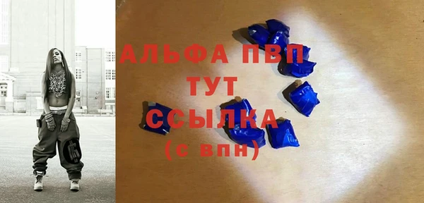 стаф Магас