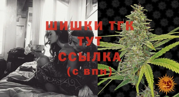 стаф Магас