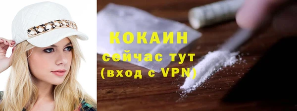 стаф Липки