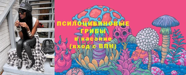 стаф Магас