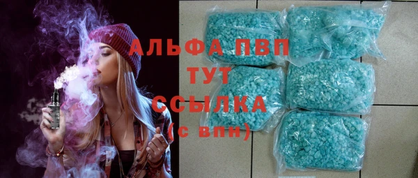 стаф Магас