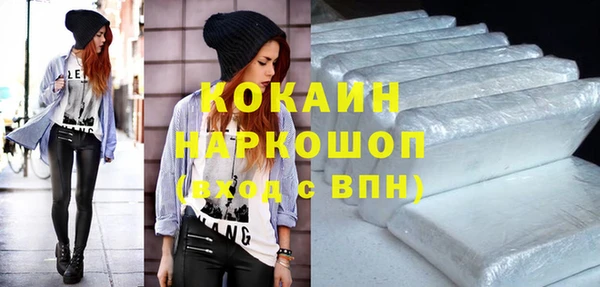 стаф Магас