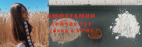 стаф Магас
