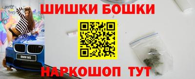 крисы Абакан