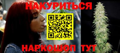 крисы Абакан