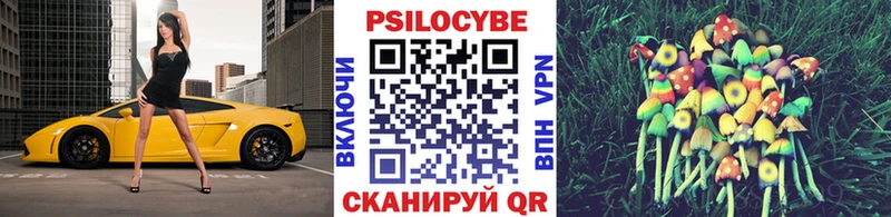 Галлюциногенные грибы Cubensis что такое наркотик Астрахань