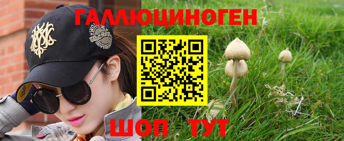 Псилоцибиновые грибы ЛСД Астрахань
