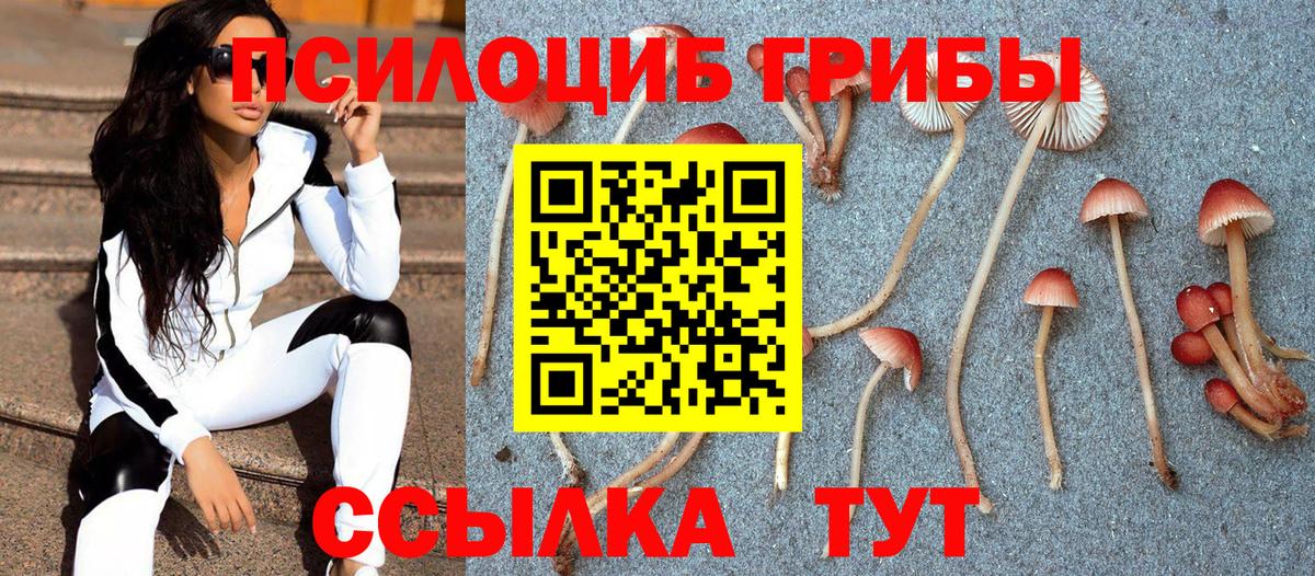 Псилоцибиновые грибы мухоморы  Вход с VPN  Псилоцибиновые грибы ЛСД  Астрахань 