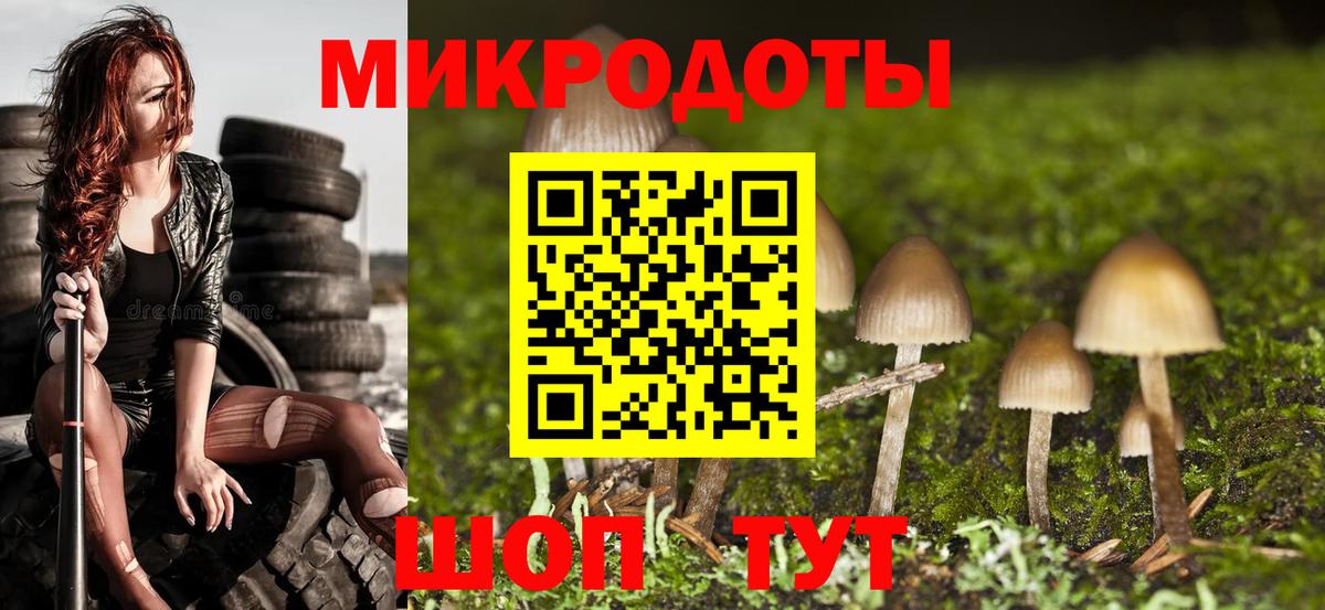 Галлюциногенные грибы Psilocybe  цены наркотик  Астрахань  Псилоцибиновые грибы мухоморы 